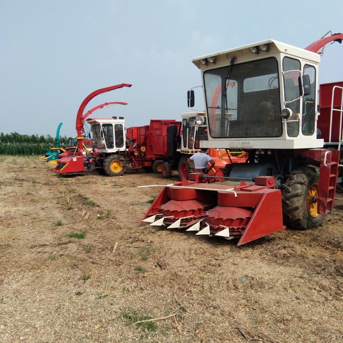 自走式青儲機(jī)